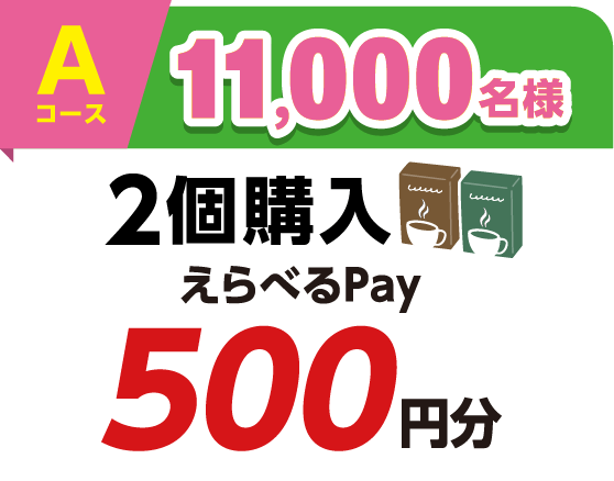 Aコース 11,000名様 2個購入 えらべるPay500円分