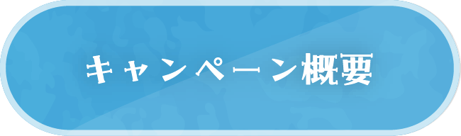 キャンペーン概要